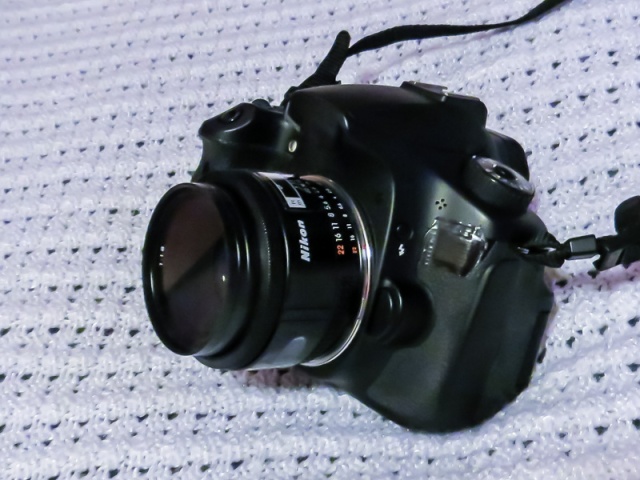 Canon 60D with Nikon lens (Nikkor 50mm f/1.8)